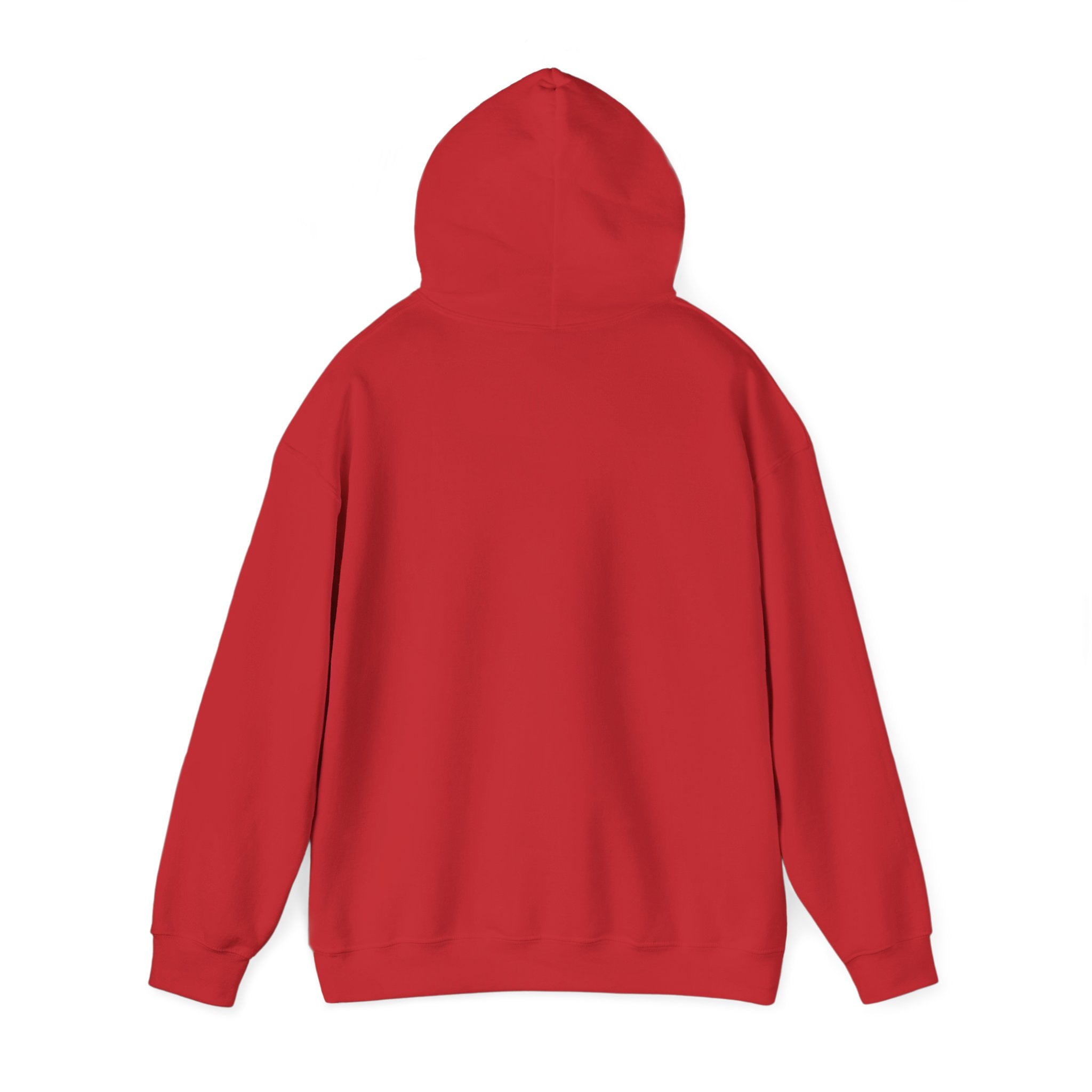 In the Gym Hoodie — Minimal Fitness Sweatshirt