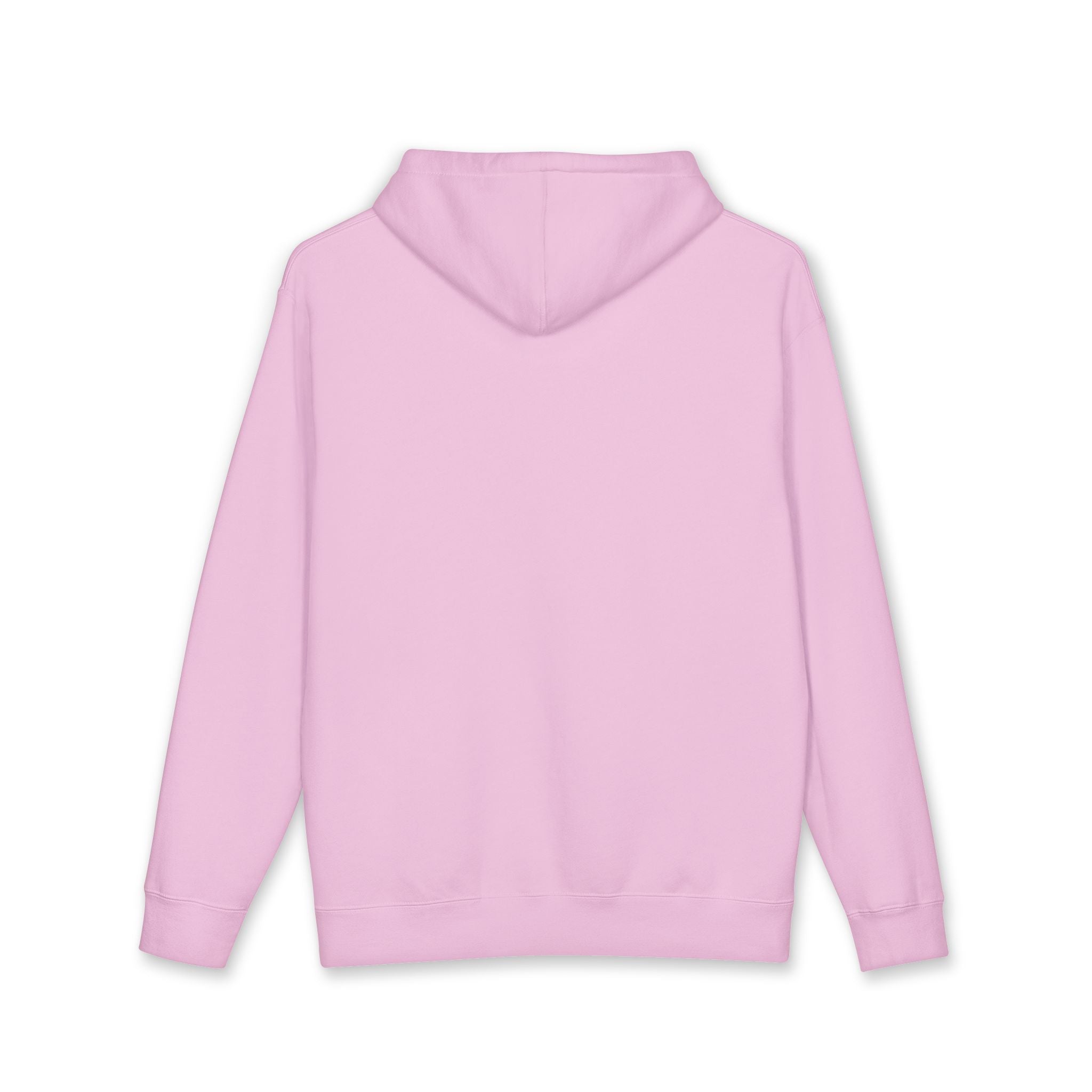 Told You! Hoodie — Retro Bold Graphic Pullover